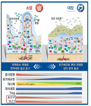 소장과 대장 특이적 면역 반응