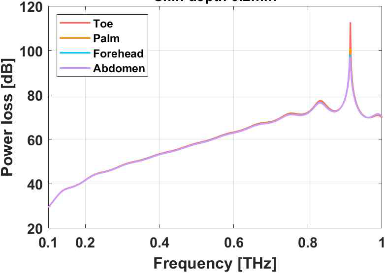 피부 깊이 0.8 mm에서 전력 손실 비교