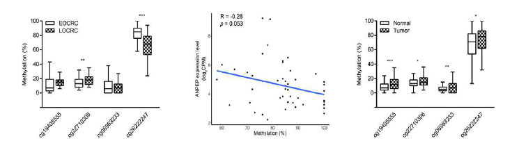 Methylation status of four probes in the promoter region of ANPEP gene in our discovery cohort