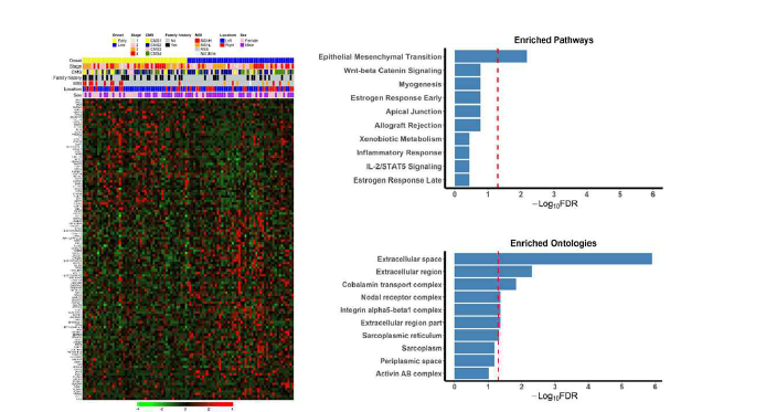 Visualization of differentially expressed genes (DEGs) identified between EOCRC and LOCRC