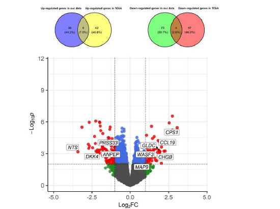 Common DEGs between EOCRCs and LOCRCs in the TCGA dataset