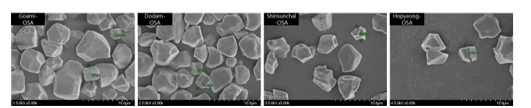 Scanning electron microphotographs of micro-sized starch particles were prepared using rice starch with different amylose content.