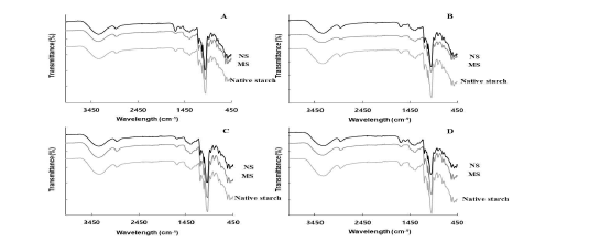 Fourier transform infrared spectroscopy of native starch, microparticle (2LS and 16MS), and nanoparticle (16SS). (A) Goami, (B) Singil, (C) Goami2, and (D) Dodam.