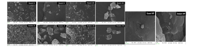 Scanning electron microphotographs of micro starch and nano particles.