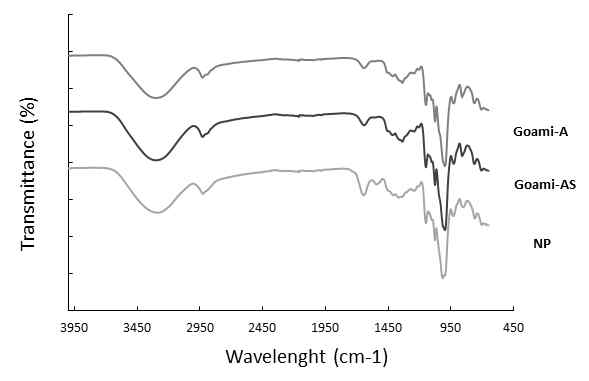 Fourier transform infrared spectroscopy of microparticle.