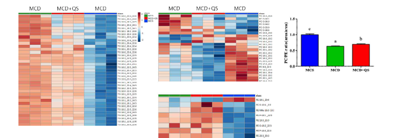 Dietary supplementation of CoQ and Se mixture creates distinct lipid profiles, especially in those with higher numbers of carbons and increases hepatic PC/PE ratio.