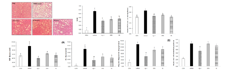 Ferroptosis inhibitor Lip-1, DFO or SS alleviated the development of in mice fed high-fat/high-fructose (HFHF) diet for 25 wks