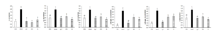 Ferroptosis inhibito.r Lip-1, DFO or SS attenuated hepatic inflammation and fibrosis associated with NASH induced by HFHF diet in mice