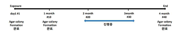 대표물질의 설계된 ITS의 SOP에 따른 시험법 검증