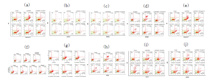 불레기말 (a), dieckol (b), DPHC (c), 감태 (d), 우뭇가사리 (e), 톳 (f), 넓패 (g), 패 (h), IPA (i), PFFA (j)의 MGO로 유도된 신장세포 자살 억제 효능