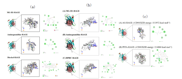 Molecular docking 분석을 통한 해양생물자원 유래 phlorotannin 화합물 DK(a), DPHC (b) 및 PFFA(c)의 AGE-RAGE interaction 저해 효능 평가