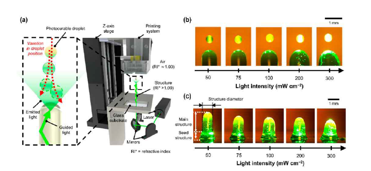 빛의 강도에 따른 구조물의 치수 변화: (a) 하이드로겔 3D 프린팅 시스템에서 조사된 빛에 의한 토출 액적의 증착 위치 변화에 대한 개념도, (b) 빛의 세기에 따른 토출된 액적에 조사 강도 차이, 및 (c) 빛의 강도에 따른 초기 형성 구조의 크기 변화