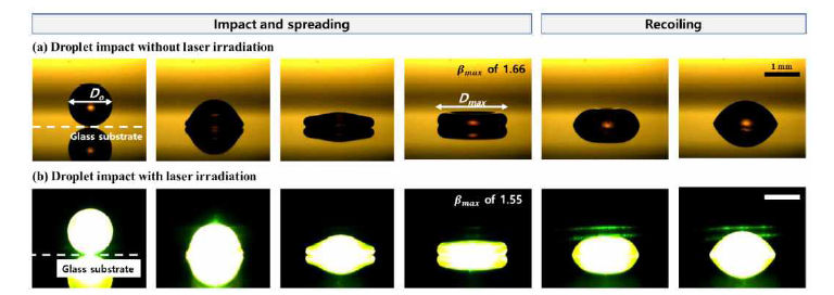 하이드로겔 액적의 충돌, 퍼짐 및 수축 운동의 순차적 이미지: (a) 레이저 조사를 하지 않은 경우와 (b) 레이저 조사를 한 경우.
