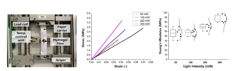 빛의 강도에 따른 광경화성 하이드로겔 섬유(fiber)의 기계적 물성 연구 결과: (좌) 실험 장치의 샘플 로딩 이미지, (중) 섬유 샘플의 S-S curve, (우) 하이드로겔 섬유의 빛의 강도에 따른 탄성계수 변화