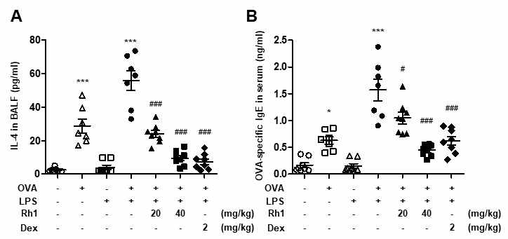 Inhibitory effects of Rh1 on inflammatory cytokines in BALF of OVA and LPS-induced asthmatic mice. (A) IL-4 in BALF and (B) OVA-specific IgE production in serum were measured by ELISA kit in OVA/LPS-induced asthmatic models. The data are presented as means ± SEM (n = 7~8). * P < 0.05 or *** P < 0.001 compared with the control group, # P < 0.05 or ### P < 0.001 compared with the OVA+LPS group.