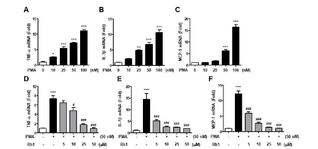Rh1 inhibits mRNA levels of pro-inflammatory cytokines in PMA-induced A549 cells.