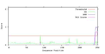 선정한 rNES 서열의 NES score 평가 (Protein Eng Des Sel. 2004, 17, 527.)