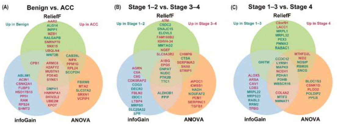 (A)악성 여부와 (B)병기별 차별 발현 단백질(differentially expressed proteins, DEPs)