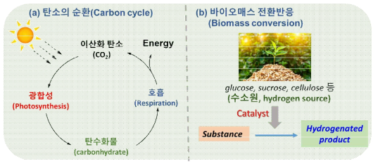 바이오매스를 수소 자원으로 활용