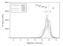 완전히 탈분지화된 아밀로펙틴 덱스트린의 분자 크기 분포(Gel permeation chromatography)