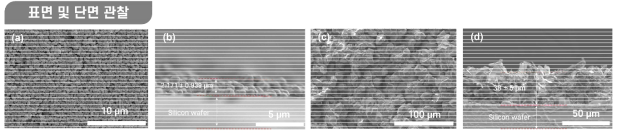 Scanning Electron Microscope (SEM) 으로 관찰한 QCM 위에 합성된 Cobalt gallate (a-b) 와 Nickel gallate(c-d) 각각 표면 및 단면 사진