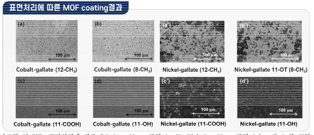 SAMs 표면처리에 따른 Cobalt gallate 표면 (a-d), Nickel gallate 표면 (a’- d’) 의 코팅차이를 보여주는 Optical microscope 사진