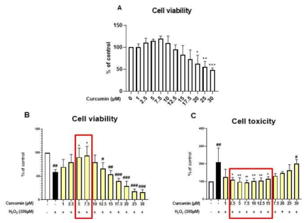 H₂O₂에 의한 산화 손상을 받은 ARPE-19 세포에서 curcumin (1~30μM)의 농도별 보호 효과를 세포생존률 실험과 세포독성 실험(Cell Counting Kit-8, MMT, LDH assay)으로 확인한 결과