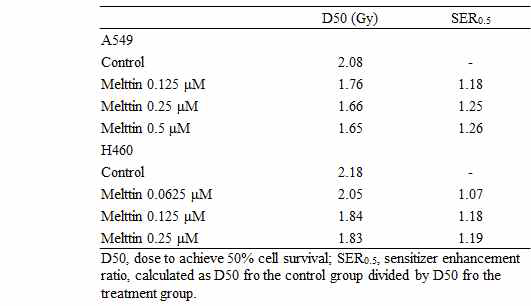 비소세포폐암 세포에서 멜리틴의 sensitizer enhancement ratios (SER)