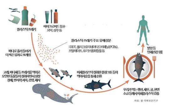 미세플라스틱의 인체 위협