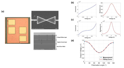 (a) 제작된 소자의 광학 현미경 및 SEM 이미지와 (b) 선형 및 (c) 비선형 장치의 I-V 곡선 측정, (d) 선형 장치에서 편파각에 따른 Voc 측정