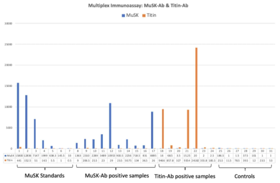MuSK항체와 titin항체 동시 측정 Luminex 기반 다중-면역분석법. MuSK항체 standards 7 샘플, MuSK항체 양성 환자들의 10개의 샘플, titin항체 양성 환자들의 7개의 샘플, 대조군 7개의 샘플 총 31개의 샘플들을 적용함. MuSK항체의 titer(파란색)는 MuSK항체 standards와 MuSK항체 양성 환자 혈청 샘플들에서 높게 확인되었음. Titin항체의 titer(주황색)는 Titin항체 양성 환자 혈청 샘플들에서 높게 확인되었음. 대조군 샘플들에서는 MuSK항체와 titin 항체 모두 매우 낮은 측정값을 보였음
