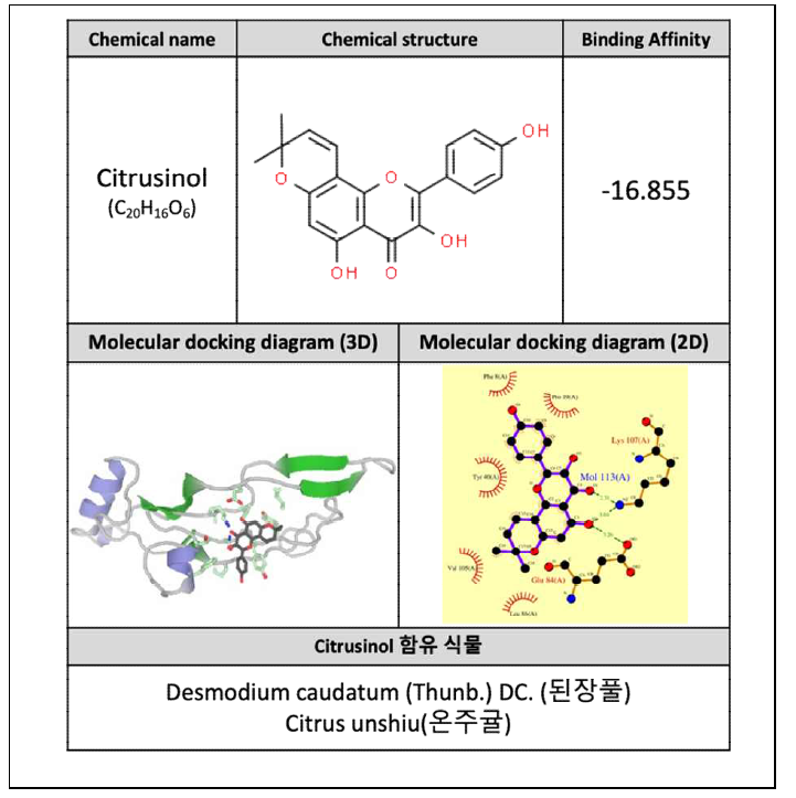 Citrusinol과 TGF-β receptor Docking 분석