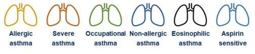 성인 천식의 면역학적, 염증적 종류에 따른 분류