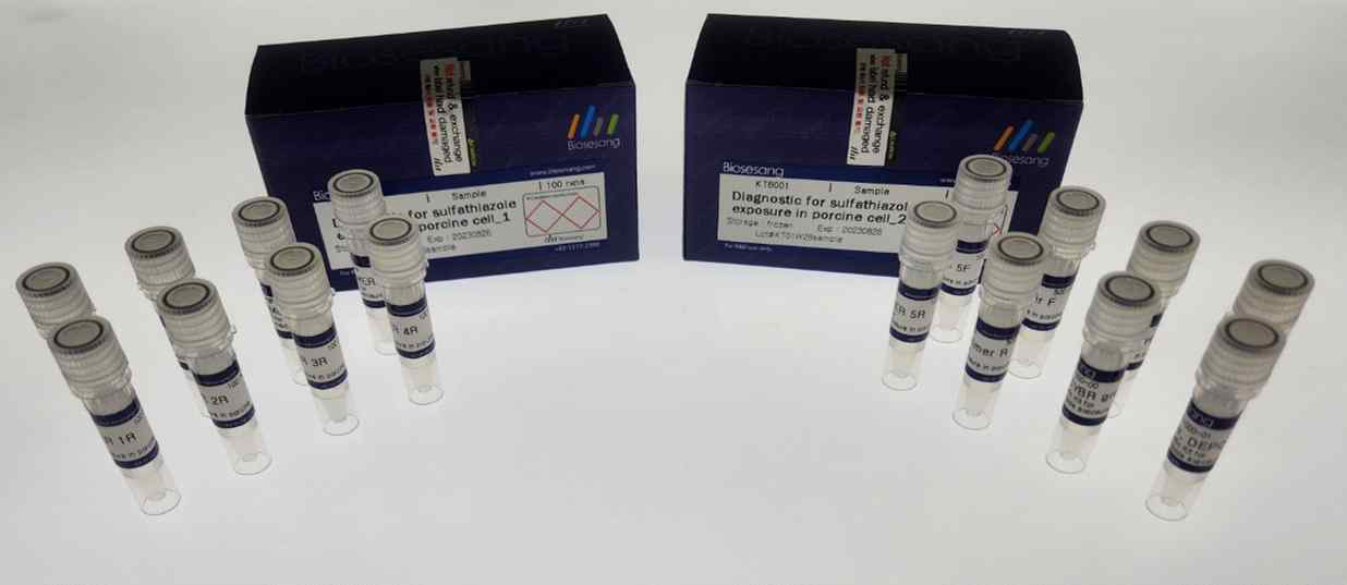 qRT-PCR을 이용한 sulfathiazole 노출 여부 검출 키트 구성 모식도