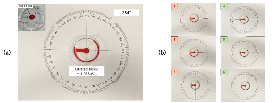 혈액 응고 정도를 정량화하기 위한 실험 (a) 실험 방법, (b) 순수혈액(1, 2, 3번)과 3M CaCl2가 주입된 혈액(4, 5, 6번)의 응고 정도 비교