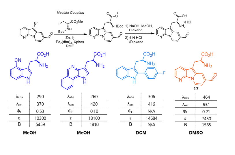 azaindole을 활용한 새로운 형태의 pyridoindolizine 기반 비천연 형광 아미노산 합성