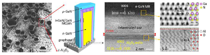 리모트 에피택시법 법을 이용하여, 그래핀이 코팅된 사파이어 웨이퍼 상에 제조한 GaN 마이크로 막대 이종구조 어레이의 주사전자현미경 이미지와 단면 모식도. Gan 마이크로막대/그래핀/사파이어 계면의 투과전자현미경 이미지 (좌측부터)