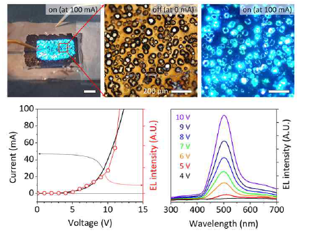 리모트 에피택시로 제조한 GaN 마이크로 막대 기반 LED의 면발광 사진과 현미경으로 관찰한 발광 전, 후 사진(상단). LED의 전류-전압 그래프 및 전계발광 스펙트럼(하단)