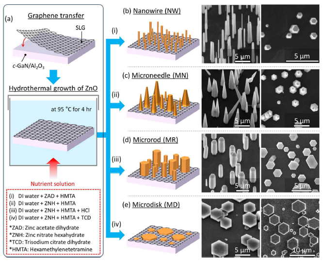 (a) 용액 공정 기반의 산화아연 마이크로 및 나노 결정의 선택적 형상 조절 리모트 에피택시 (b)-(e) 선택적 형상 조절 성장된 산화아연 나노 와이어, 마이크로니들, 마이크로로드, 마이크로디스크의 모식도와 주사전자현미경 사진