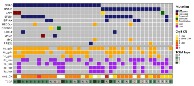 한국인 포도막 흑색종 40 샘플에 대한 전장유전체 분석의 요약. 각 Column은 하나의 샘플임