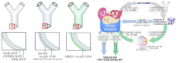 실리콘 스텐트를 세포 치료 및 약물치료를 전달해줄 수 있는 매개체로 활용하기 위해 2023년부터 시작하게 된 “간이식 후 담도합병증 예방을 위한 세포치료 및 약물치료 전달용 환자맞춤형 실리콘 담도스텐트 기술 개발 및 유효성 입증”과네