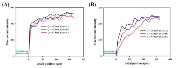 멤브레인 주변 형광 강도 profile. 미세유체채널 깊이 (A) 50 um, (B) 10 um