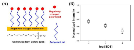 SDS를 이용한 멤브레인 표면 처리