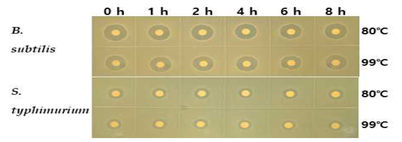 Thermostability of HB384 against pathogen (B. subtilis & S. typhimurium)