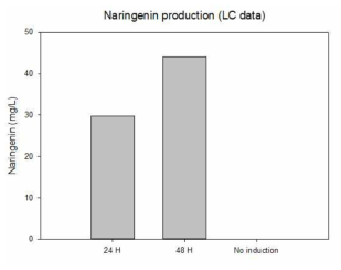 나린제닌 생산 확인 (LC)