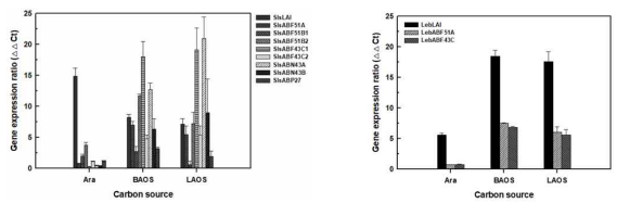 RT-qPCR 분석을 이용한 (A) S. shenzhenensis 및 (B) L. brevis 아라비난 가수분해효소 유전자의 발현도