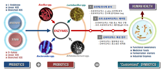 연구과제의 최종 목표 및 단계 별 연구 내용