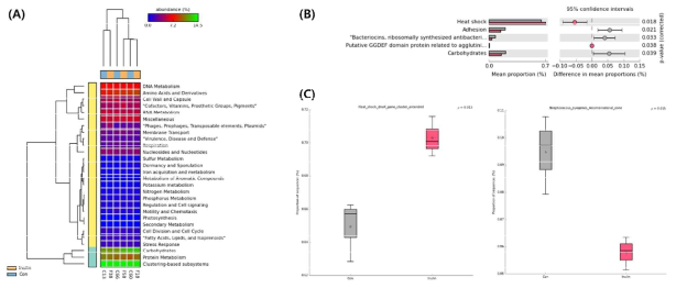 (A)Heatmap (level 1), (B)Extended error bar (level 2) (C)Box plots (level 3)