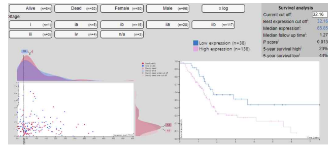 Human protein atlas에서 확인한 POSTN 의 RNA 발현에 따른 췌장암 생존률 분석