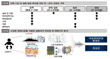 연구 개요